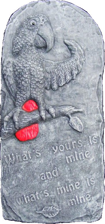 African Grey Parrot Wall Plaque