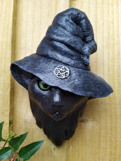 Witchy Cat by firky. Black cat Wearing witch hat